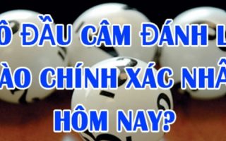 Lô đầu 9 câm đánh con gì hôm sau